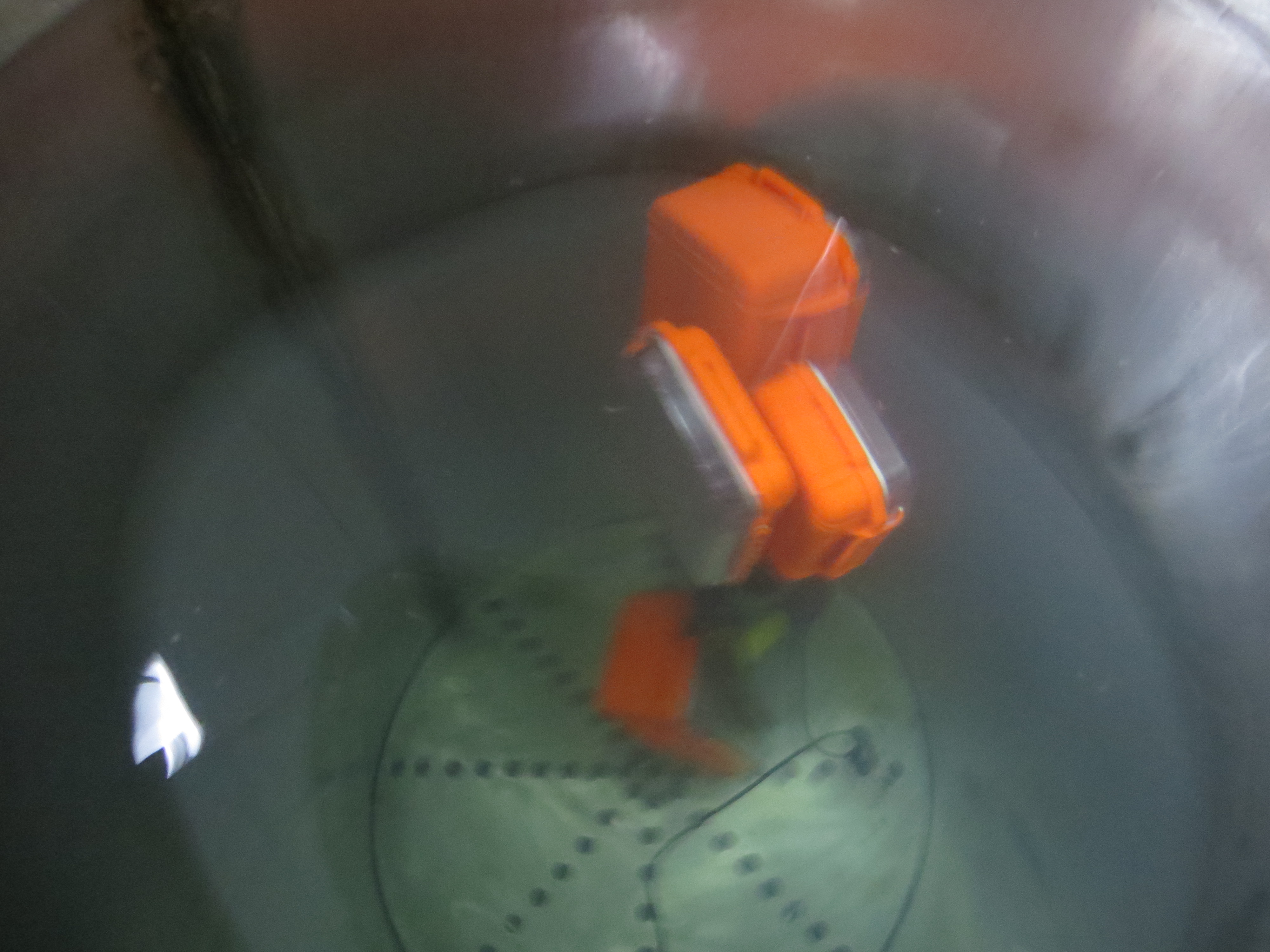 waterproof box test underwater.jpg waterproof box test underwater.jpg