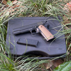 gun case