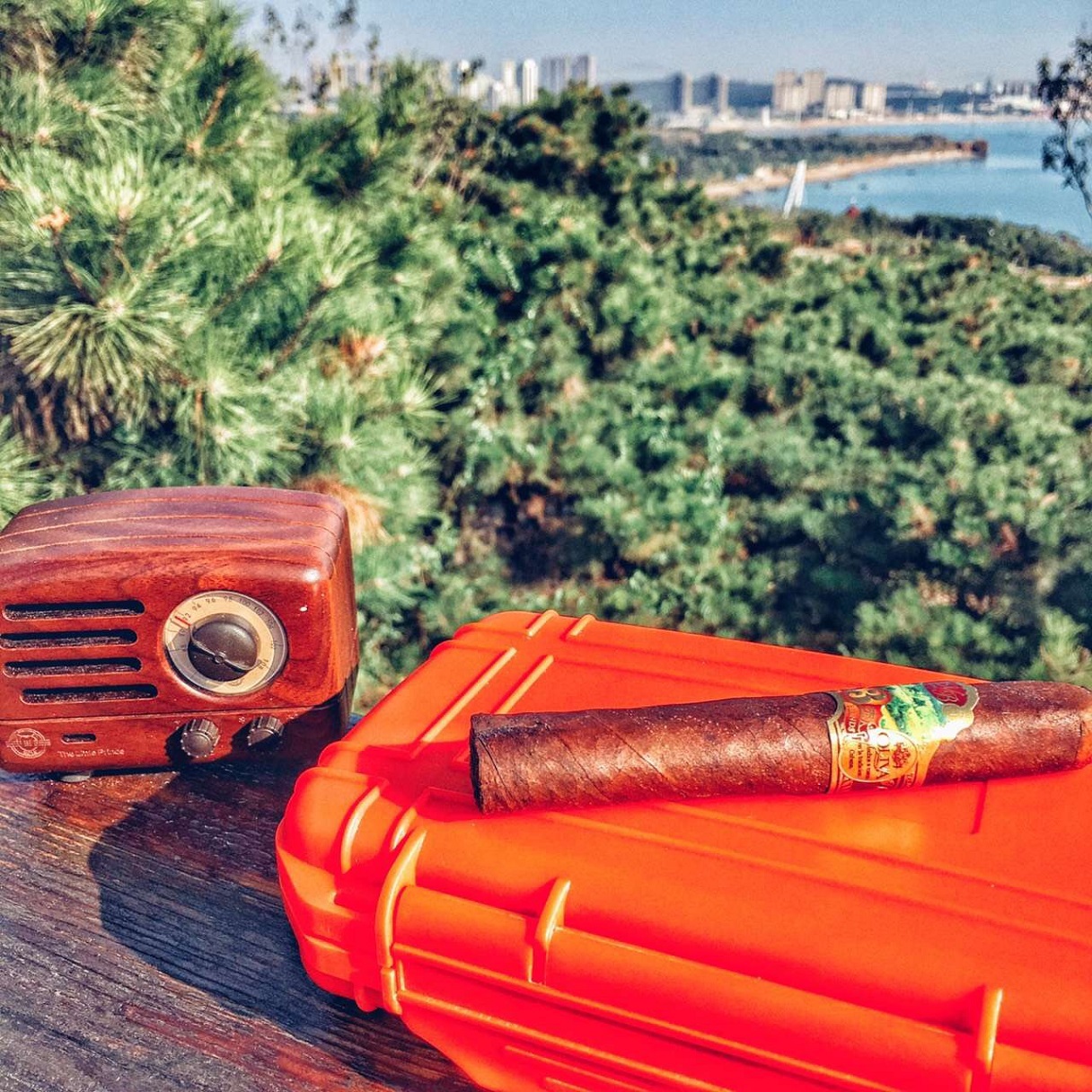 Waterproof Cigar Case